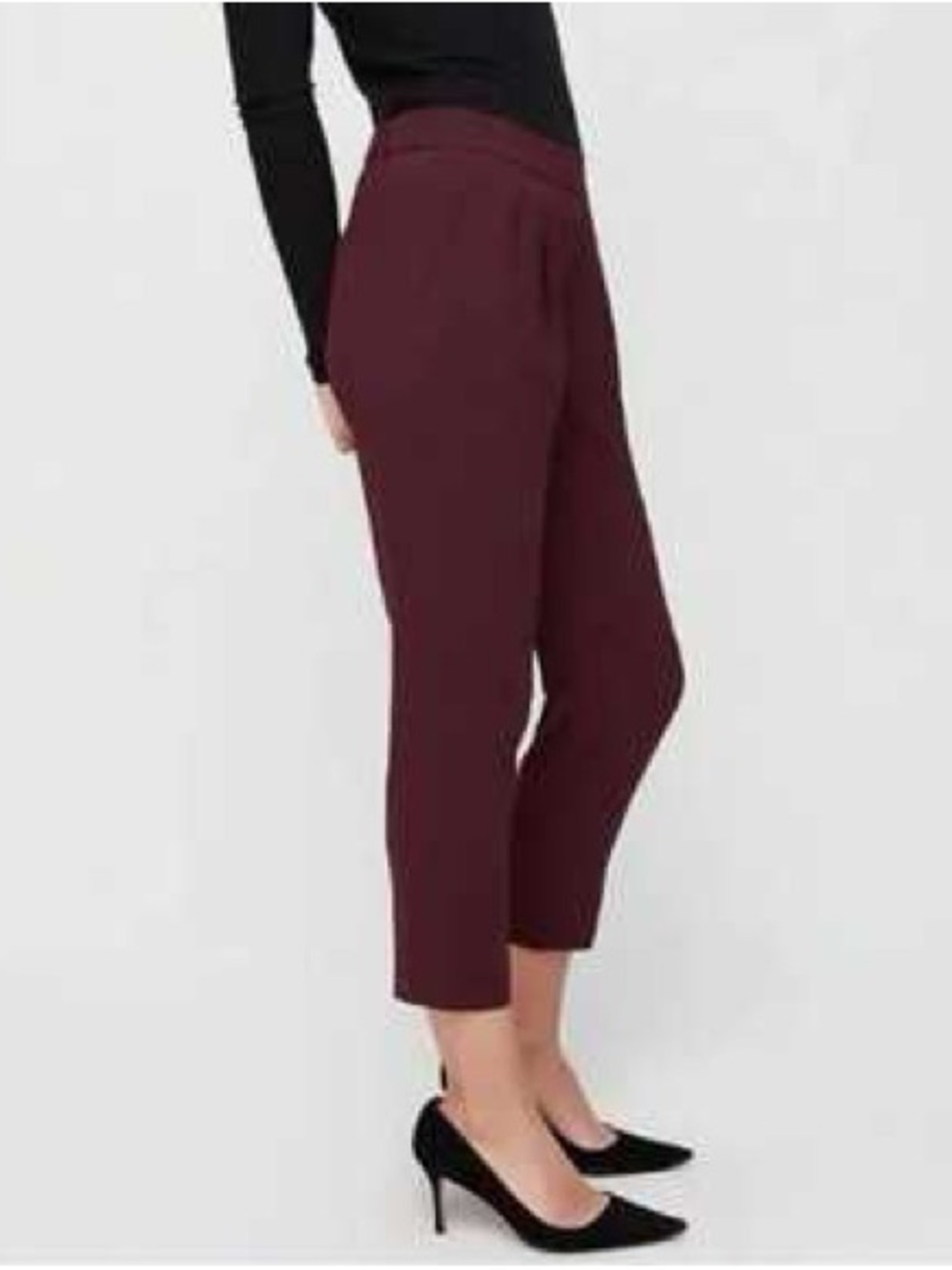 Aritzia/Babaton conan pants